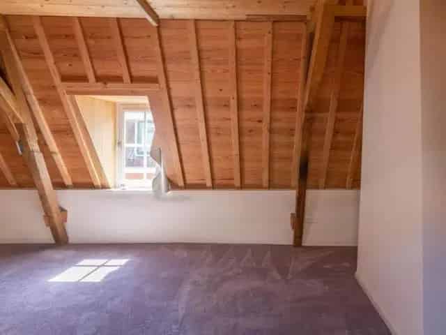 Historisch Huisje Leiden 49m2 Charmant Steegje