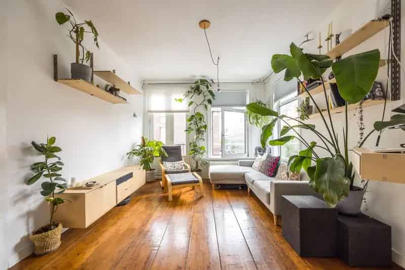 Appartement te koop Oud West Amsterdam 42m2 eigen grond