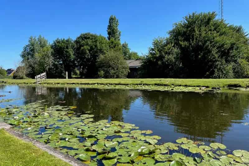 Vrijstaande villa Zevenhuizen - Zwembad - Ringvaart - 253m²