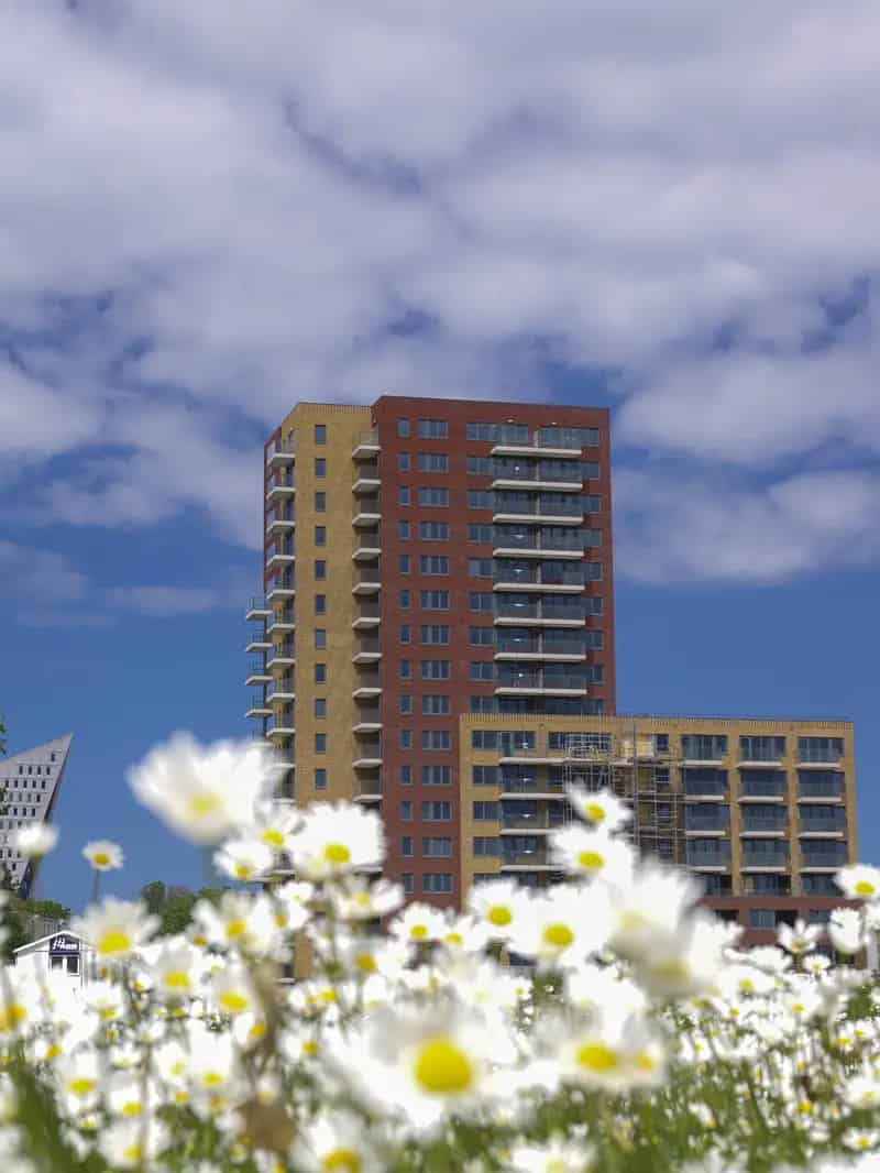 Ruime woning te huur in Wateringse Veld Den Haag
