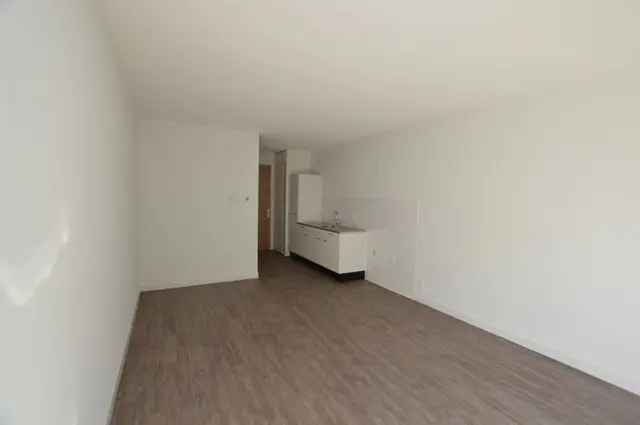 Studio Zwolle Kamperpoort Veerallee Hoogstraat