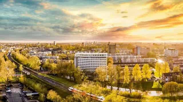 Groningen  (Selwerd)  - Populierenlaan