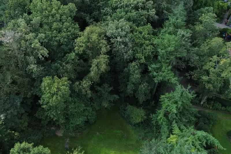 Bouwgrond Bentveld 898m2 Droomhuis Duurzaam Nabij Duinen