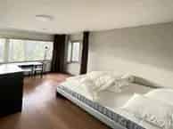 Kamer Nijmegen Wijnbesstraat 12m2