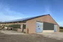300 m2 Bedrijfsruimte te Huur Heusden