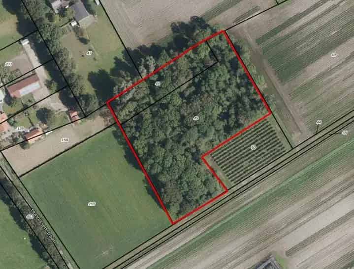 Agrarisch Bosperceel te koop nabij Hunsel