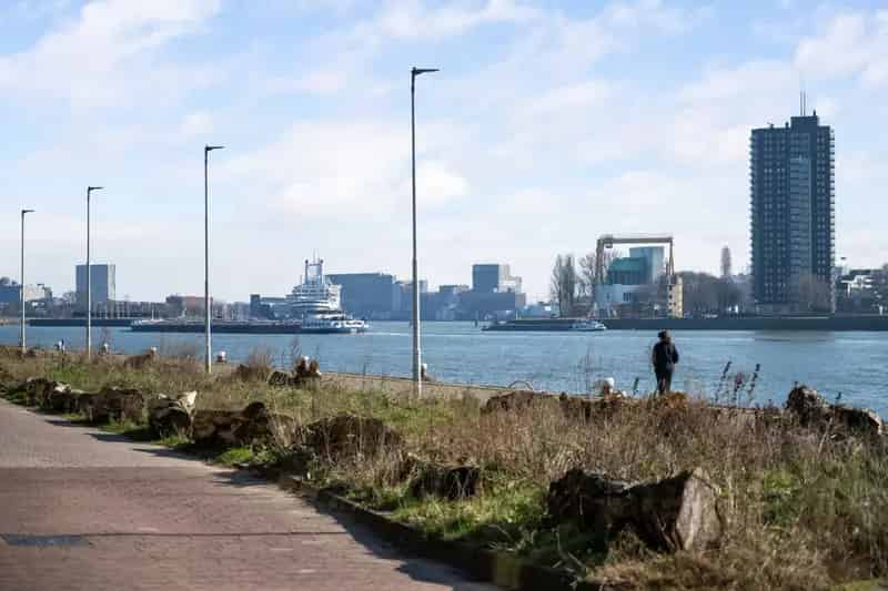 Appartement te koop Rotterdam Lloydkwartier 91m2 2 slaapkamers