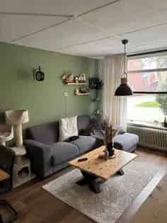 2 Kamer Huis 67m2 Bedum Te Huur