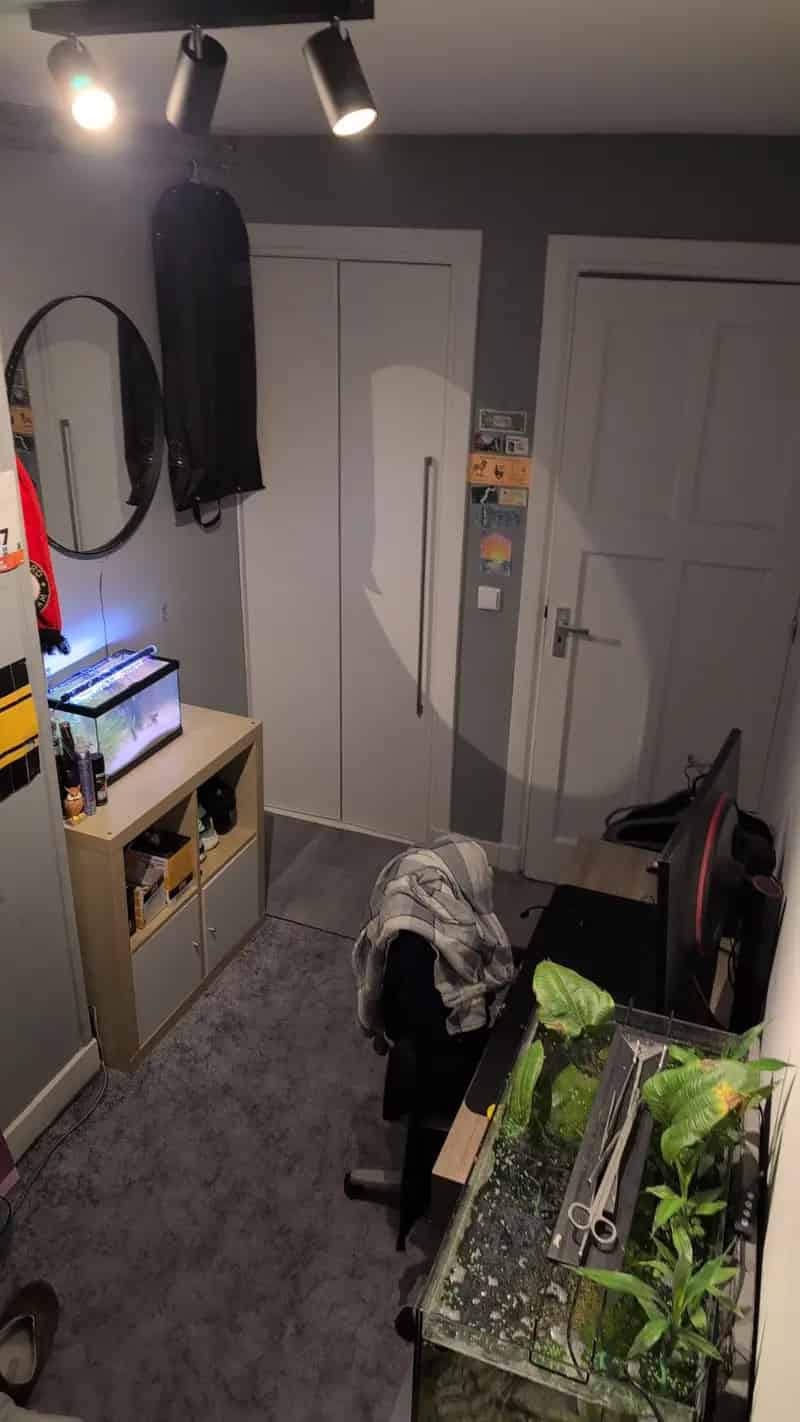 Gezellige kamer Delft - 8m² - Beschikbaar vanaf 1 juni