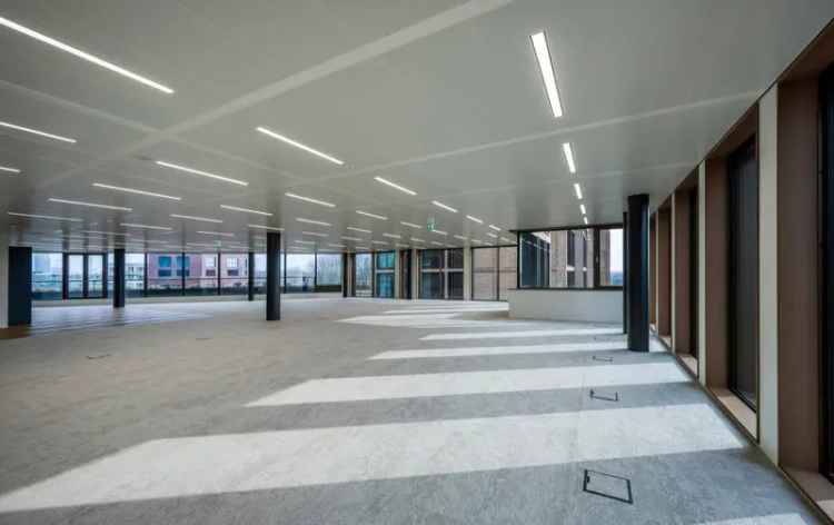 Kantoorruimte Amsterdam Zuidas: 250m² duurzaam kantoor met terras