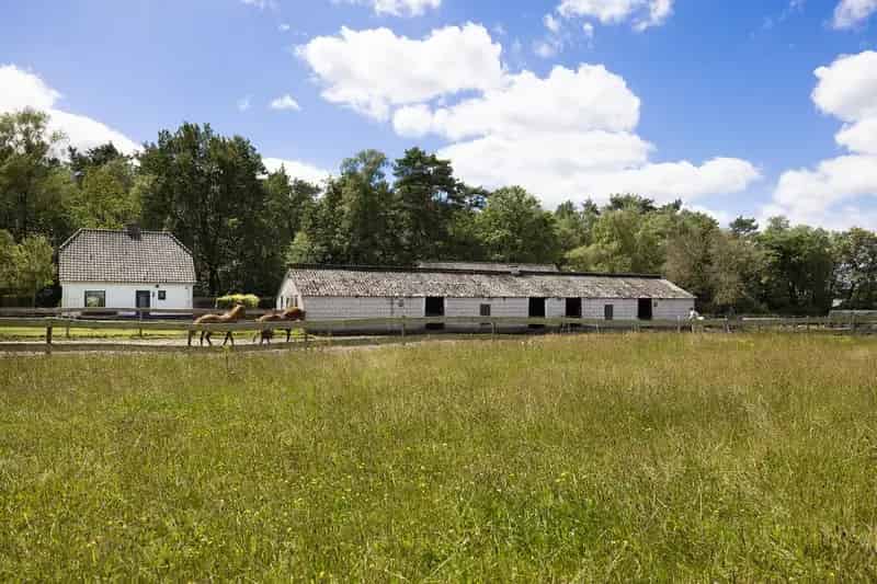 Woonboerderij Elspeet met Paardenstallen en Ruime Tuin