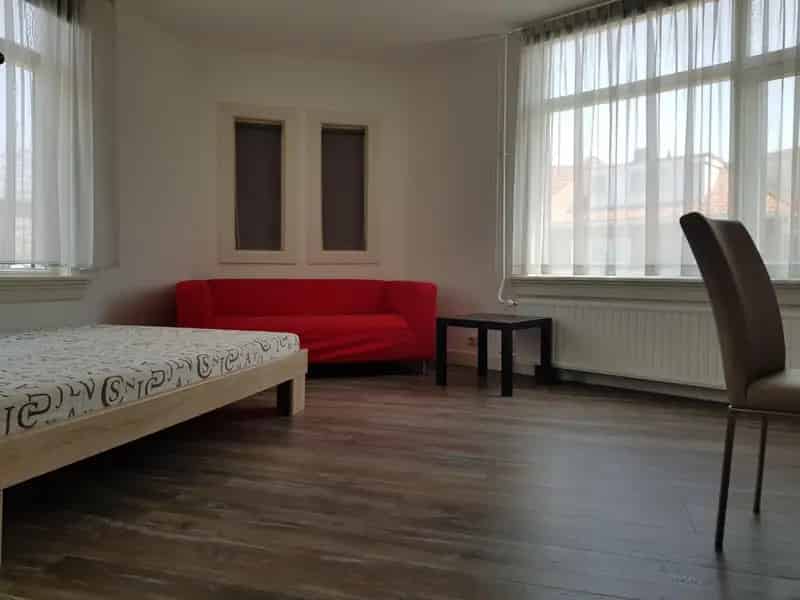 large bright room free near the University 