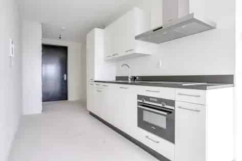 Luxe 2 Kamer Appartement Amsterdam Amstel Te Huur