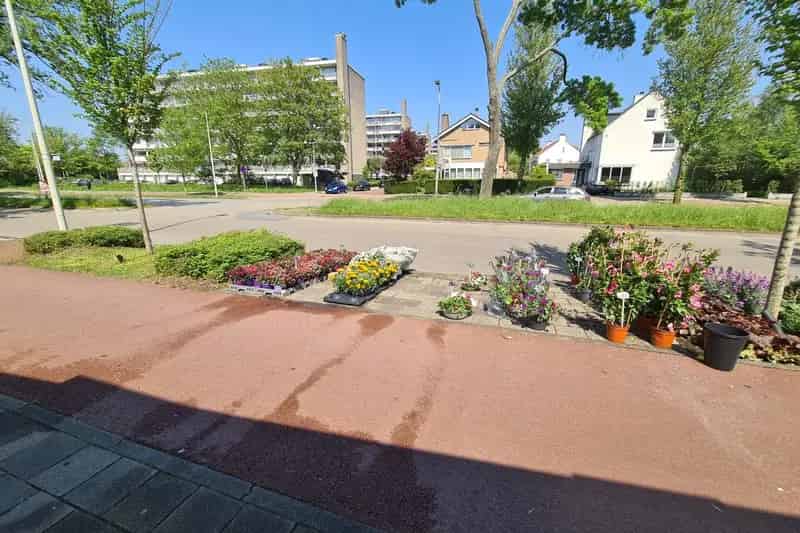 Bloemenkiosk te Koop Den Haag Hofzichtlaan