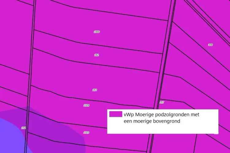 Agrarische grond Rouveen | Zoek agrarische grond te koop: Hulpensteinweg 7954 DP Rouveen [funda in business]