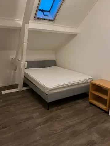 Kamer te huur Ysselsteyn buitengebied