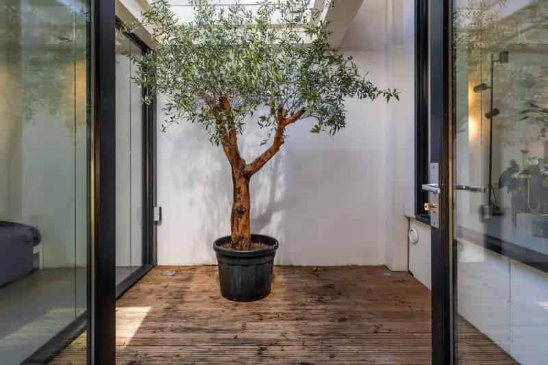 Appartement te koop Rotterdam Nieuwe Westen 65m2