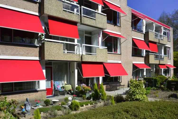 Molenberg 4: Bosrijke woning nabij Oosterbeek centrum