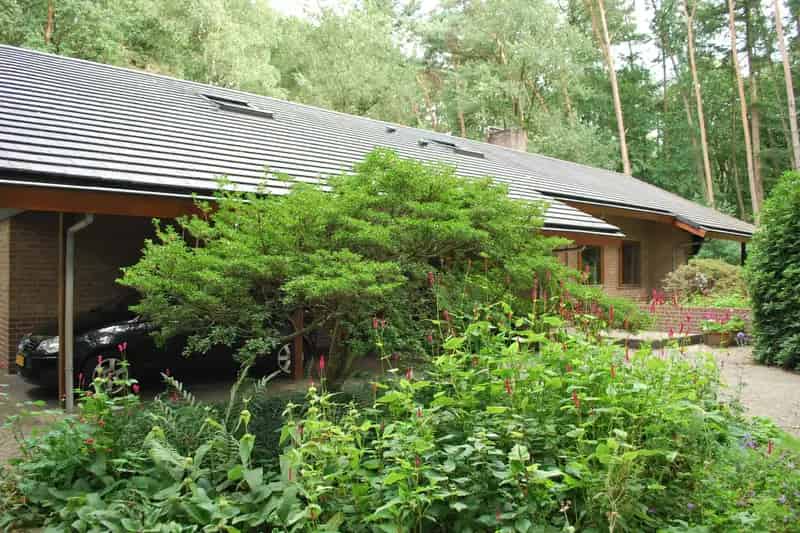 Vrijstaande Villa Bennekom Bosrijke Omgeving