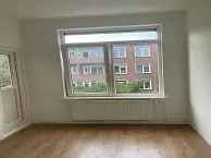 2 Ruime Kamers Rotterdam Buizerdstraat