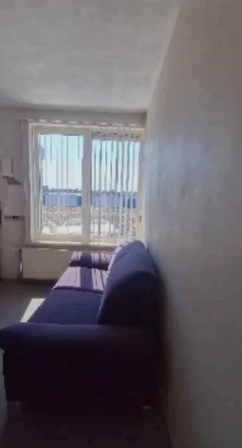 small studio in ontariodreef