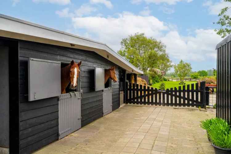 Woonboerderij met Paardenboxen Sprang Capelle