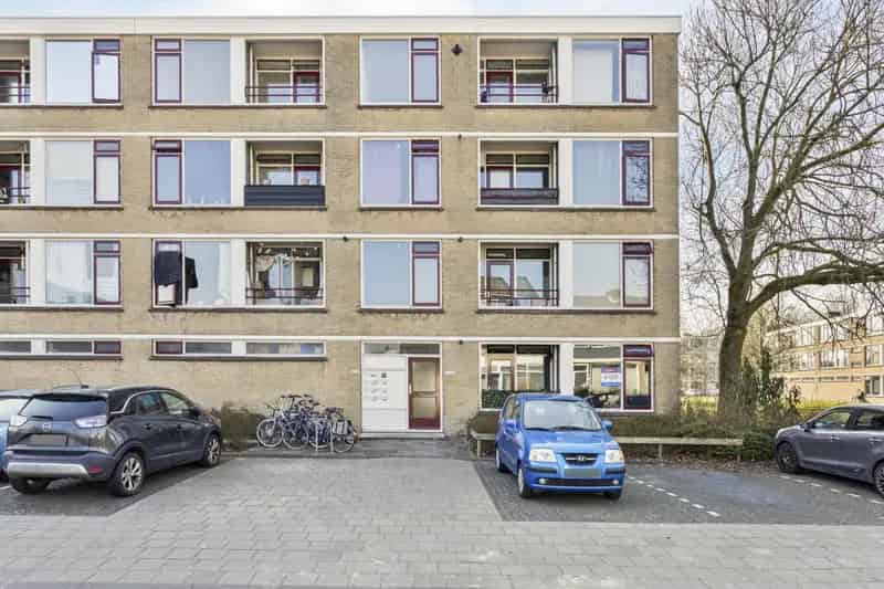 3 Kamer Appartement Schiekamp Nabij Hartelpark