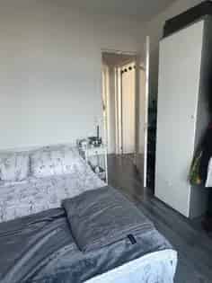 1 Kamer Studio 55m2 Den Haag Gemeubileerd