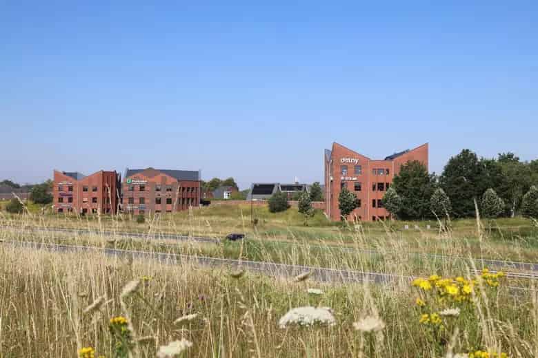 495 - 679 m2 kantoorruimte te huur in Sint-Oedenrode