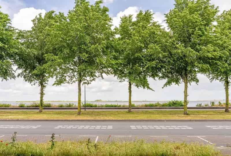 Huis te koop Amsterdam IJburg Ruim en luxe herenhuis met IJmeer uitzicht