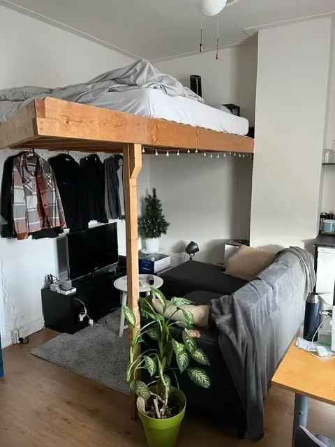 Kamer 21m2 te huur met gedeelde keuken en tuin