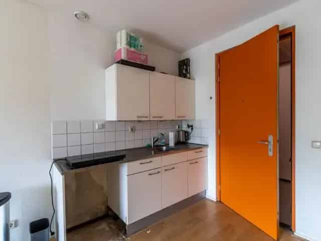 1 Kamer Flat Delft - Energiezuinig en Betaalbaar