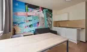 Studenten Studio Leiden Centrum - Direct Beschikbaar