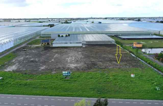 Bouwgrond te koop: Sprongenloet 2675 KV Honselersdijk 