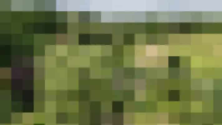 Woonhuis in Hoogeveen met 5 kamers