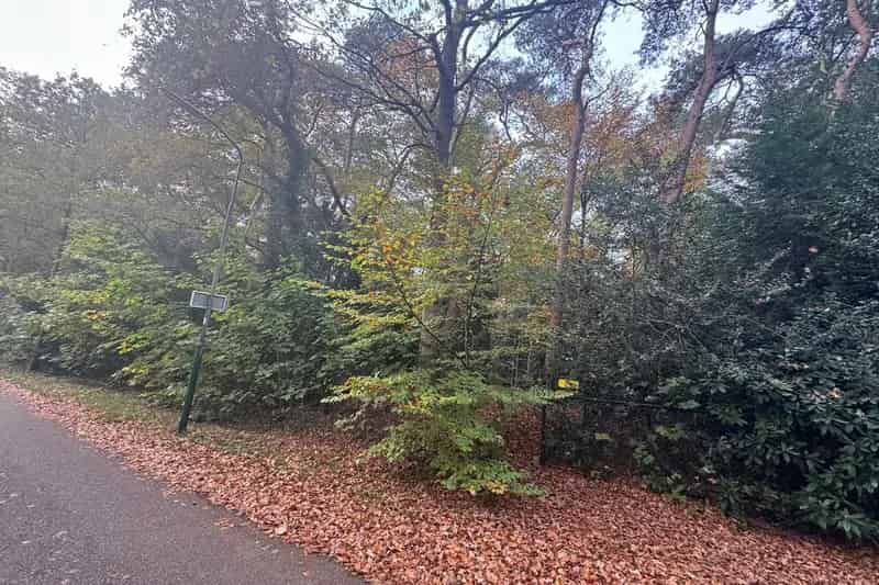 Bouwgrond Bilthoven: Twee royale percelen voor villabouw