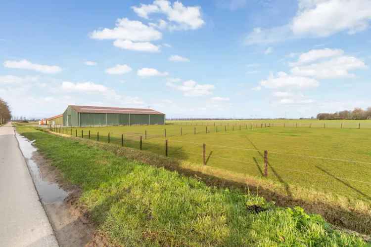 Landelijk gelegen gezinshuis Dordtse Biesbosch 3 slaapkamers
