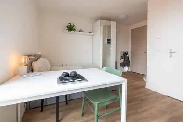 Studio Groningen Reitemakersrijge Centrum