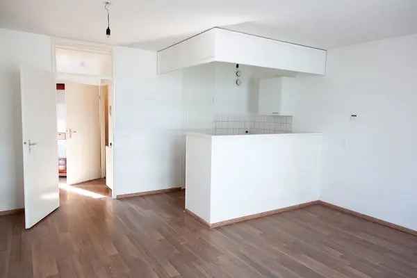 Appartement Daalhof Maastricht 1 Slaapkamer Balkon Gerenoveerd