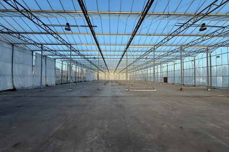 Bedrijfshal te huur Bergschenhoek 6000m² Opslag Stalling