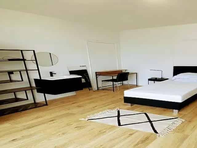 Luxe Studio Den Haag Studenten Gasloos Gemeubileerd