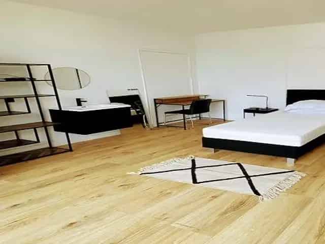 Luxe Studio Den Haag Studenten
