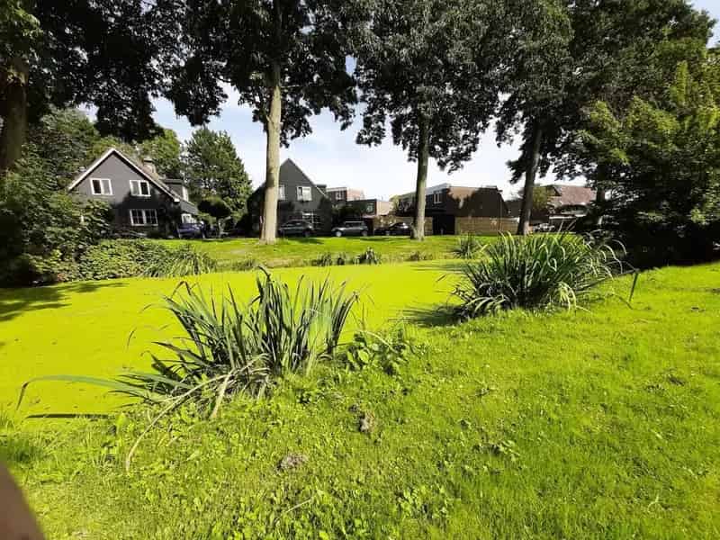 Hoekwoning 100m2 te huur Purmerend Gors Zuid