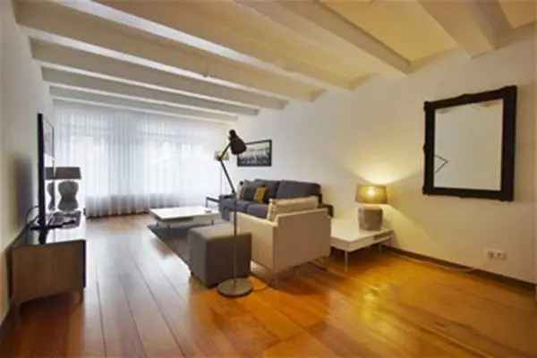 Appartement Amsterdam 100m2 1 slaapkamer 1 badkamer