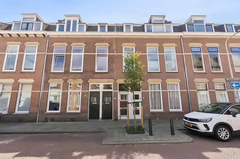 Dubbel Bovenhuis Geuzenkwartier Renovatiepotentie Dakterras