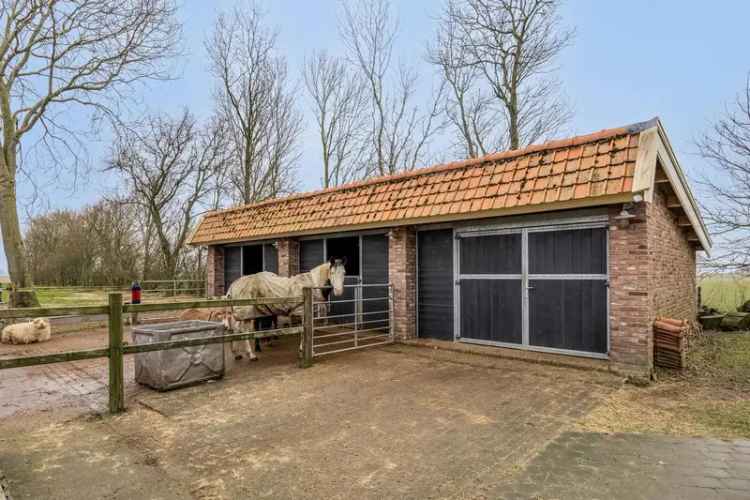 Magdalenahoeve 10004m2 Ruime woning paardenstallen weide