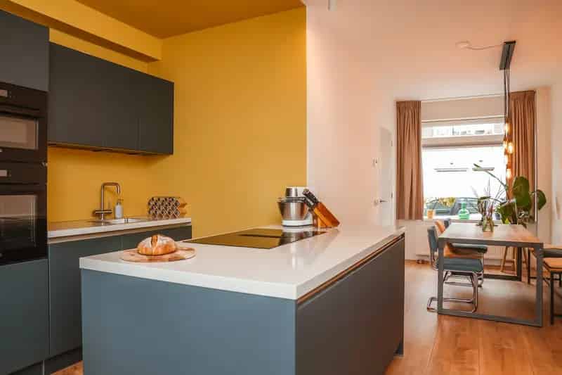 Ruime woning Utrecht Zuilen 97m2 nieuwe keuken dakterras