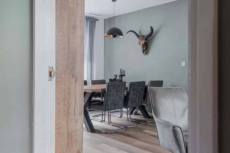 Moderne woning te koop in Hoevelaken 4 slaapkamers garage tuin