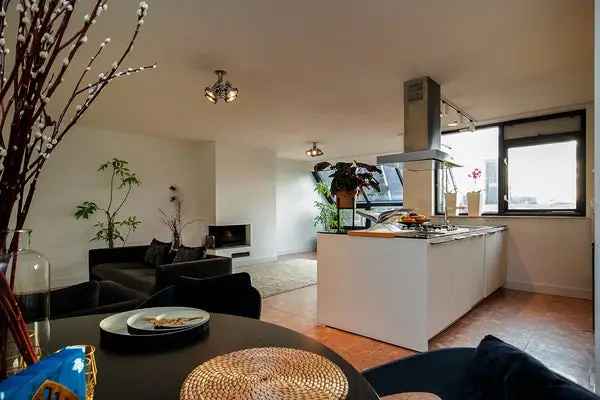 Penthouse Den Haag Centrum Gemeubileerd Dakterras