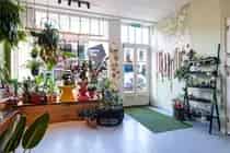 100m2 Winkelruimte te Huur Gouda Centrum
